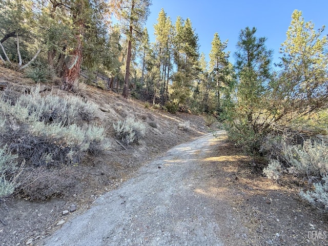 2000 Ironwood Dr, Pine Mountain Club, CA 93222 - photo 12