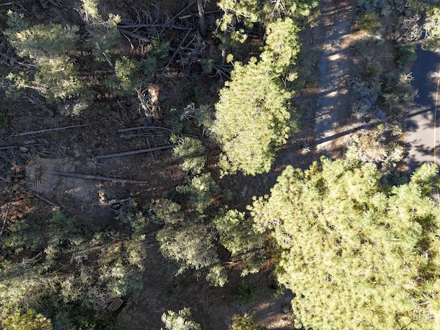 2000 Ironwood Dr, Pine Mountain Club, CA 93222 - photo 10