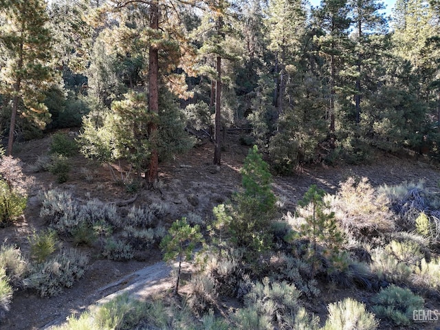 2000 Ironwood Dr, Pine Mountain Club, CA 93222 - photo 7