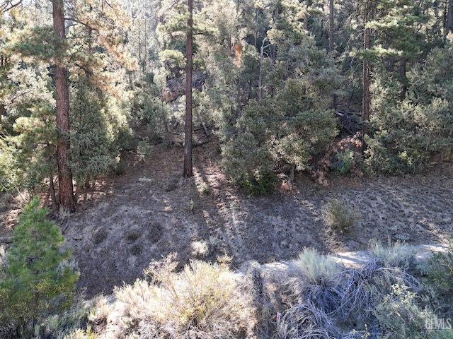 2000 Ironwood Dr, Pine Mountain Club, CA 93222 - photo 3