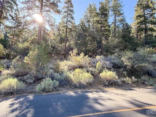2000 Ironwood Dr, Pine Mountain Club, CA 93222 - photo 15