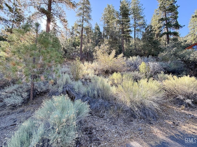 2000 Ironwood Dr, Pine Mountain Club, CA 93222 - photo 13