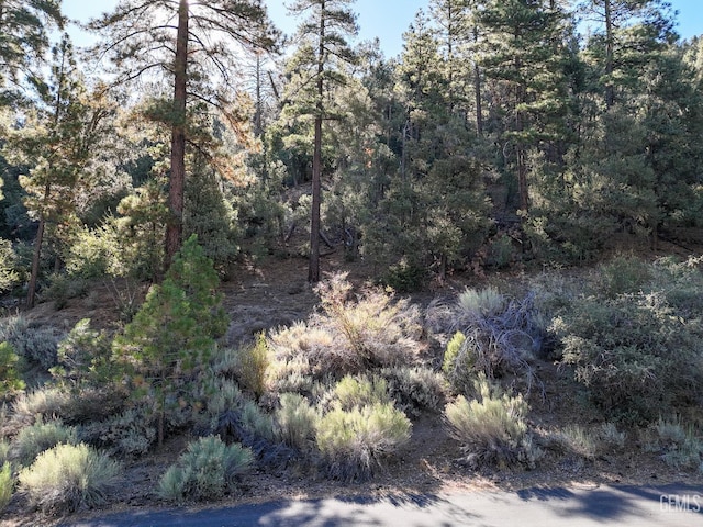 2000 Ironwood Dr, Pine Mountain Club, CA 93222 - photo 8