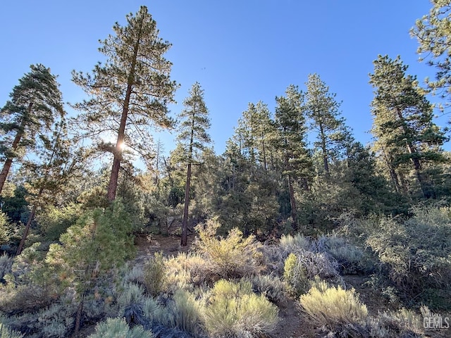 2000 Ironwood Dr, Pine Mountain Club, CA 93222 - photo 14