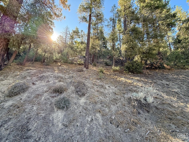 2000 Ironwood Dr, Pine Mountain Club, CA 93222 - photo 11