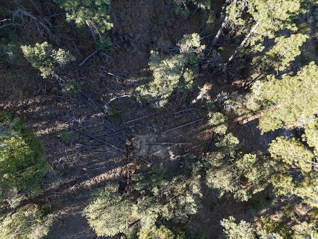 2000 Ironwood Dr, Pine Mountain Club, CA 93222 - photo 5