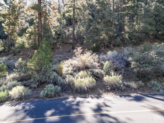 2000 Ironwood Dr, Pine Mountain Club, CA 93222 - photo 9
