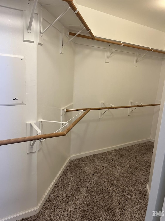 5700 Via Marisol St, Bakersfield, CA 93308 - walk in closet with carpet