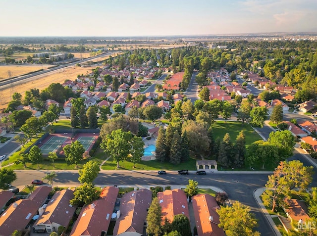 bird's eye view