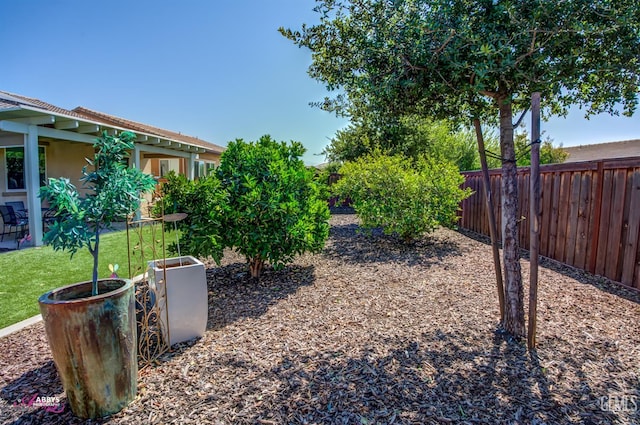 9803 Petersburg Pl, Bakersfield, CA 93306 - view of yard