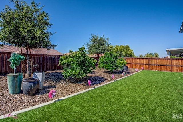 9803 Petersburg Pl, Bakersfield, CA 93306 - view of yard