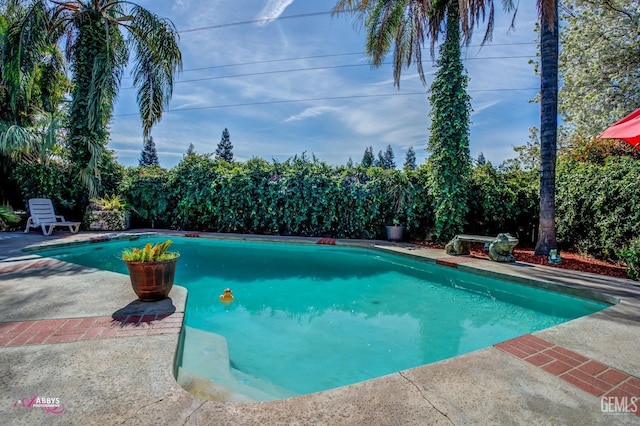 outdoor pool featuring a patio