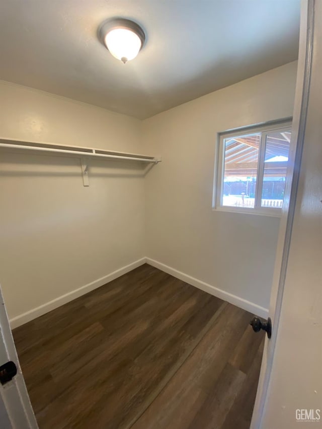 walk in closet with dark hardwood / wood-style flooring