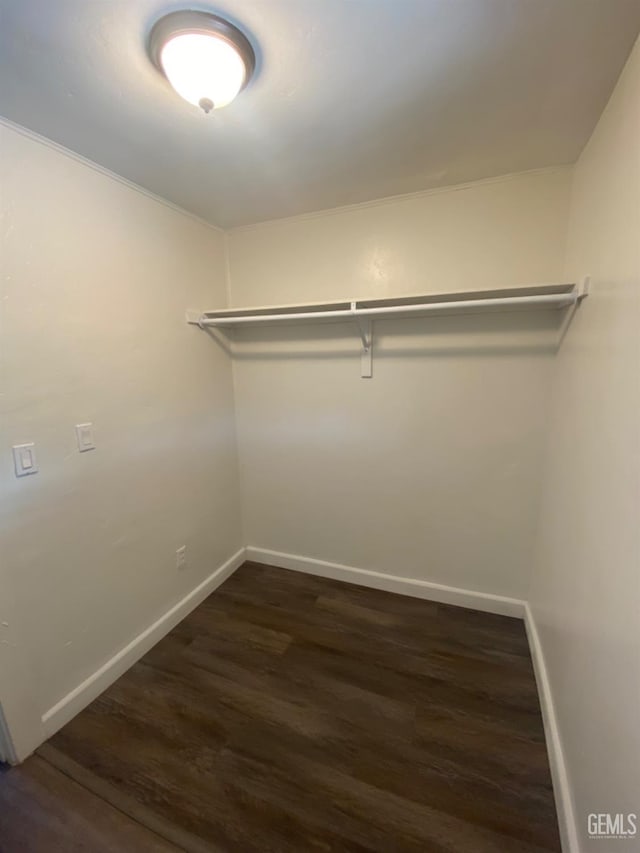 walk in closet with dark hardwood / wood-style flooring