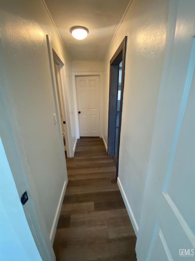 hallway featuring crown molding and dark wood-type flooring