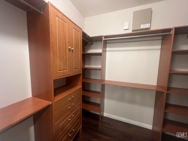 walk in closet with dark wood finished floors