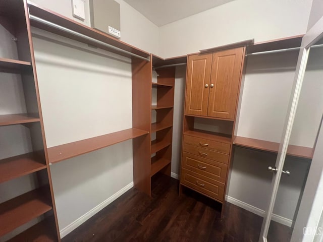 walk in closet featuring dark wood finished floors