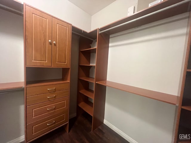 spacious closet with dark wood-style floors