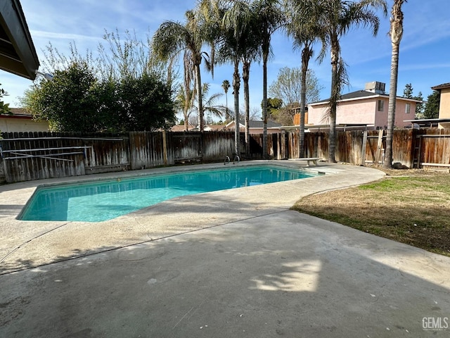 view of pool with a patio area and a diving board