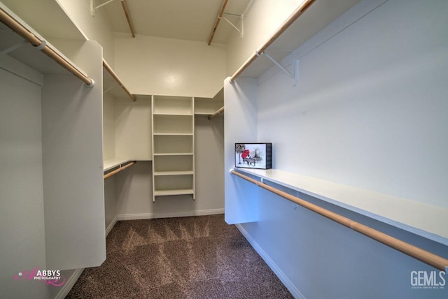 spacious closet featuring dark colored carpet