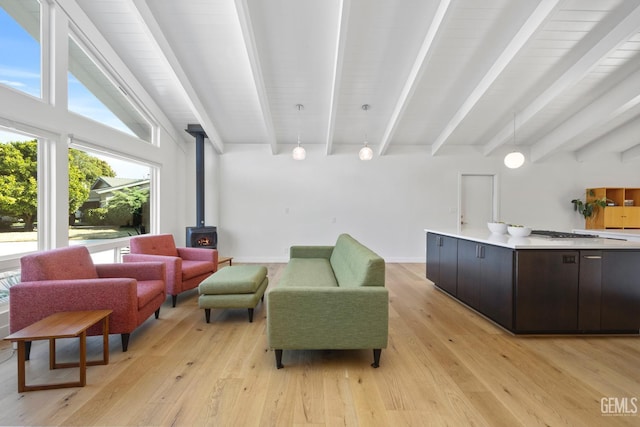 662 Woodland Ct, Arroyo Grande, CA 93420 - living area featuring a wood stove and light wood finished floors