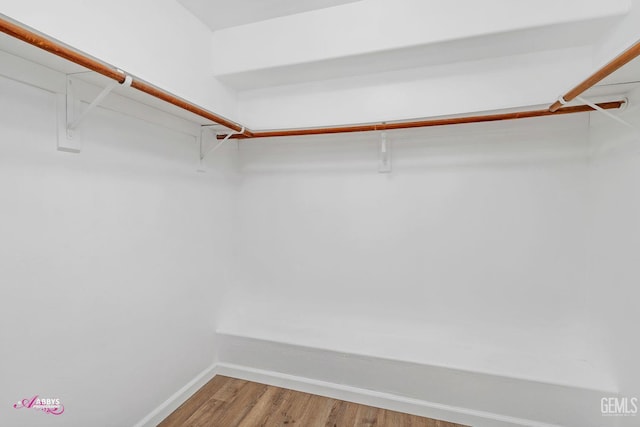 spacious closet with wood finished floors