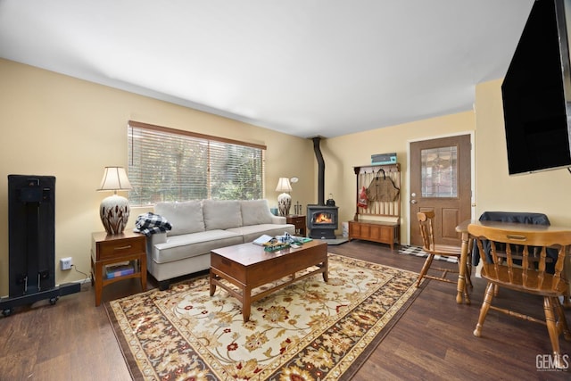 living area with a wood stove and wood finished floors