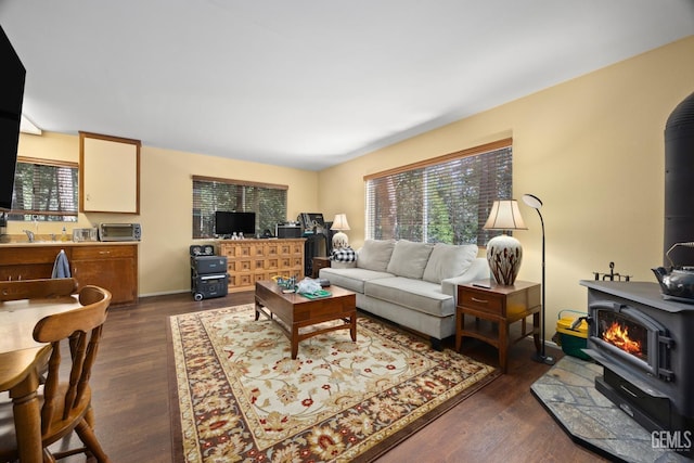 living area featuring dark wood-type flooring and a wood stove