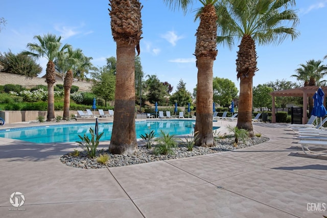 view of pool featuring a pergola and a patio area