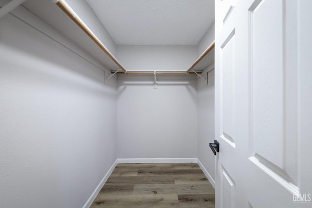 walk in closet featuring wood finished floors