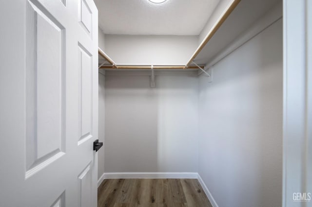 walk in closet featuring wood finished floors