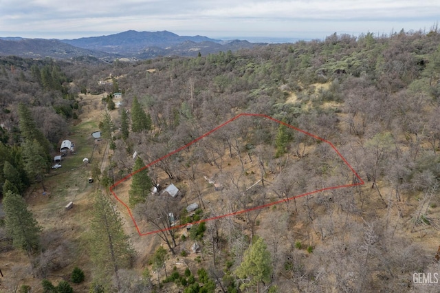 birds eye view of property featuring a mountain view