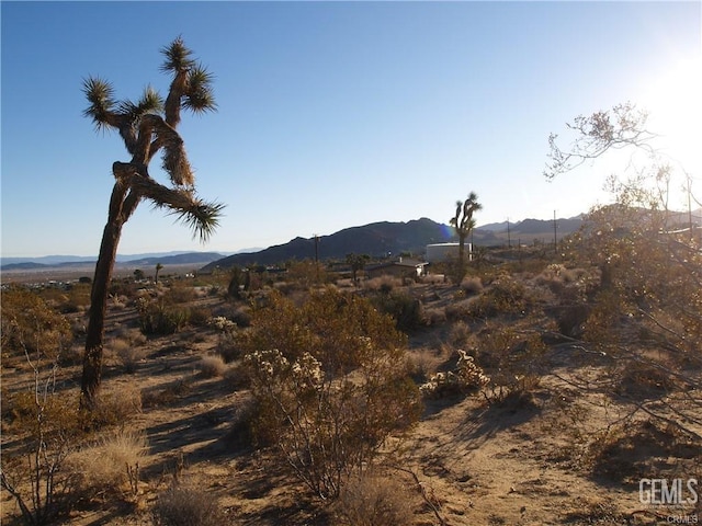 Listing photo 3 for 7275 Saddleback Rd, Joshua Tree CA 92252