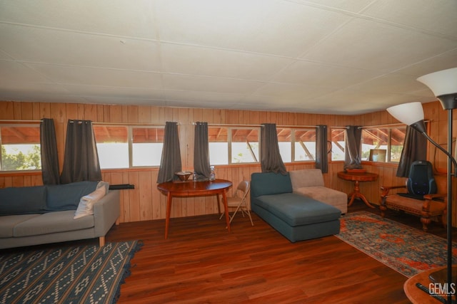 living room featuring wood-type flooring