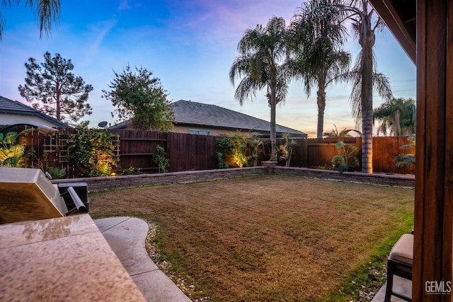 view of yard at dusk