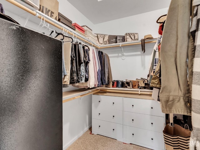 spacious closet with light carpet