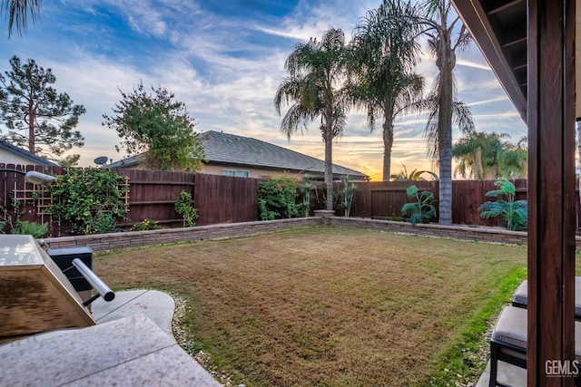 view of yard at dusk