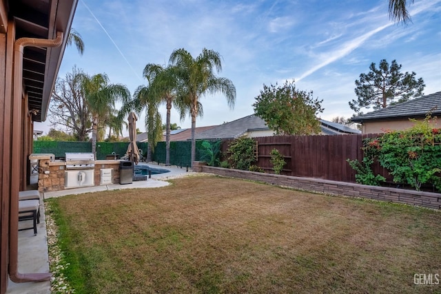 view of yard with exterior kitchen