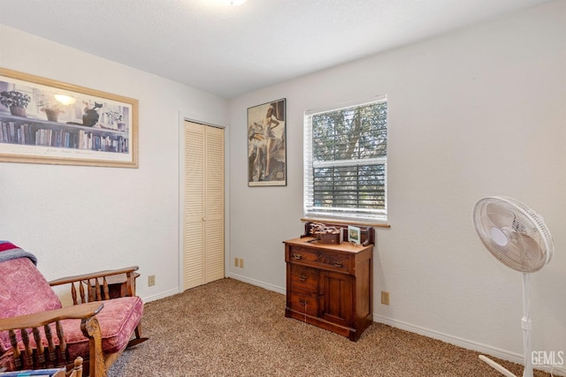 sitting room featuring light carpet