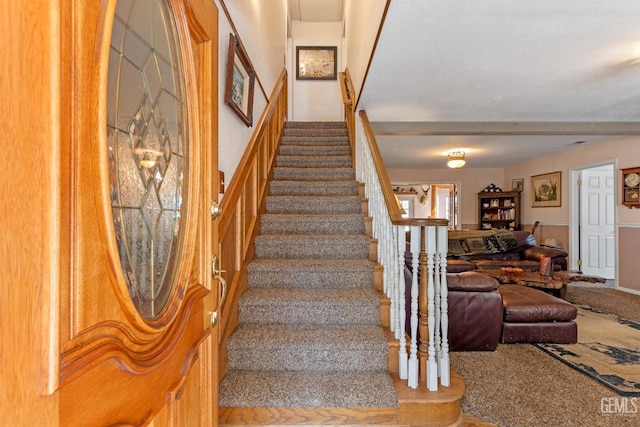 stairway with carpet flooring