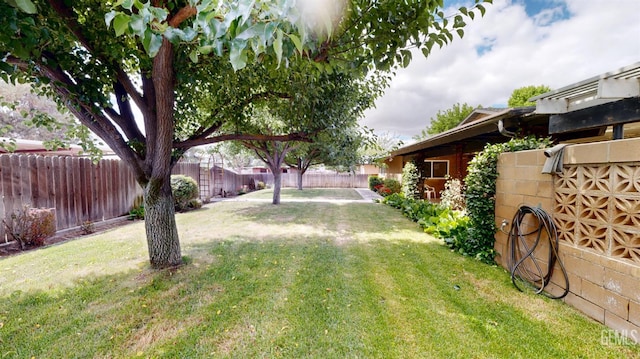 1334 Renfro Rd, Bakersfield, CA 93314 - view of yard