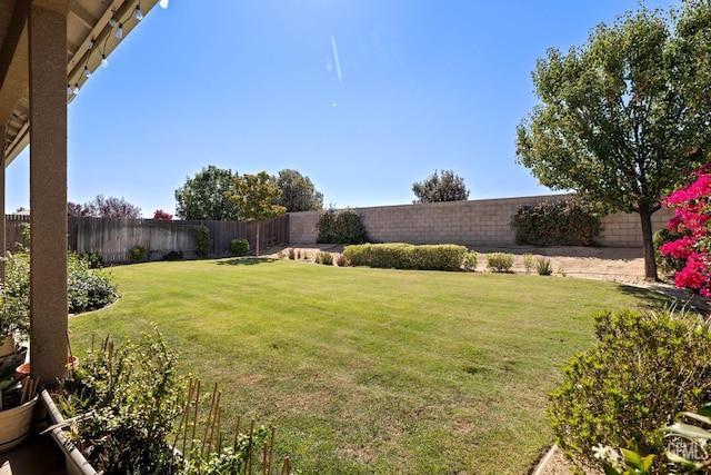 5619 Morning Breeze St, Bakersfield, CA 93314 - photo 45