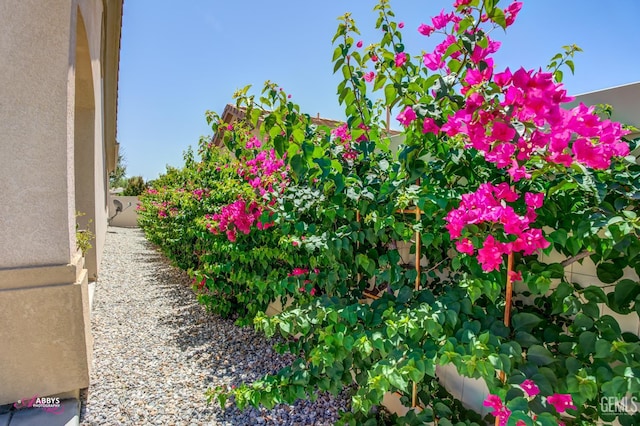 6100 Lassen Ridge Rd, Bakersfield, CA 93306 - view of yard