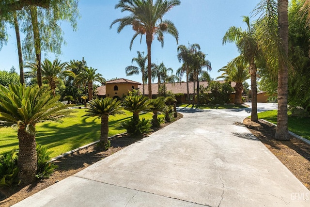 854 Vineland Rd, Bakersfield, CA 93306 - view of home's community with a yard