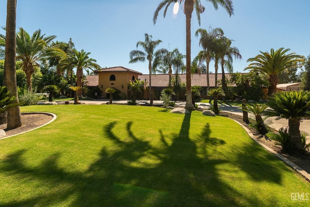 854 Vineland Rd, Bakersfield, CA 93306 - view of green lawn