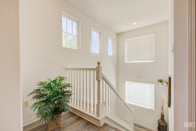 staircase with hardwood / wood-style floors