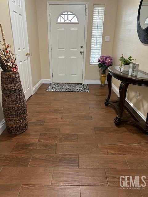 foyer featuring a healthy amount of sunlight and dark hardwood / wood-style flooring