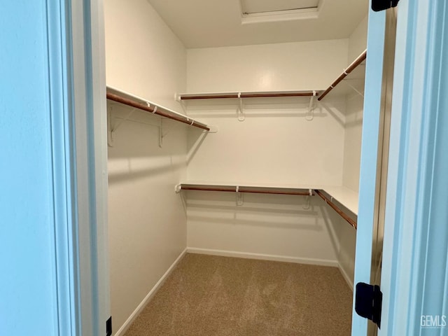 2411 Addlington St, Bakersfield, CA 93311 - walk in closet with carpet floors and attic access