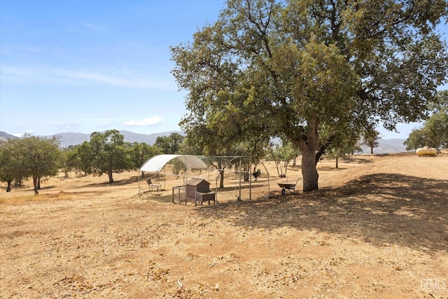 view of yard featuring a mountain view and a rural view