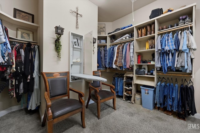 spacious closet featuring carpet flooring